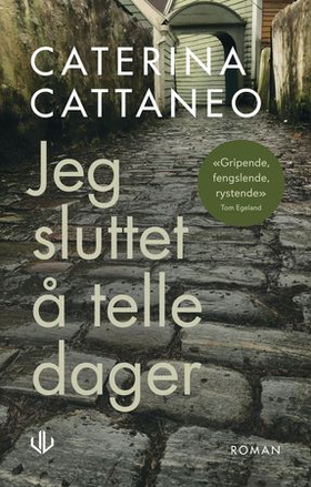 Jeg sluttet å telle dager - roman (ebok) av Caterina Cattaneo