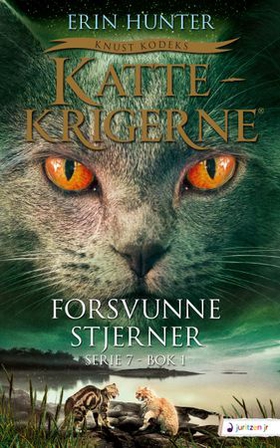 Forsvunne stjerner (ebok) av Erin Hunter