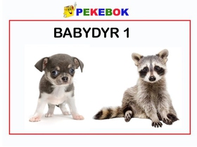 Babydyr 1