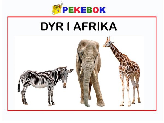 Dyr i Afrika