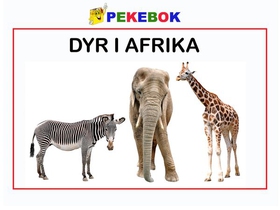 Dyr i Afrika (ebok) av Ukjent