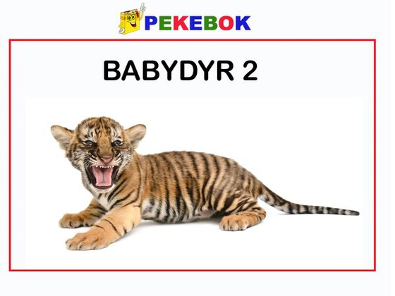 Babydyr 2