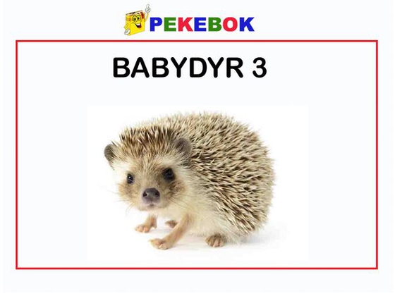Babydyr 3