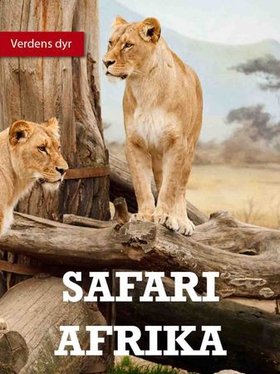 Safari (ebok) av Lindsey Wilson