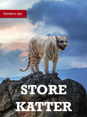 Store kattedyr (ebok) av Lindsey Wilson