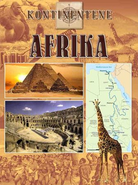 Afrika (ebok) av John Taylor