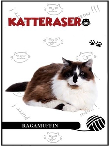 Ragamuffin (ebok) av Tania Cheslaw