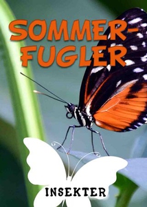 Sommerfugler (ebok) av Lindsey Wilson