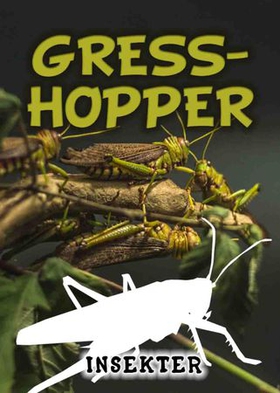Gresshopper (ebok) av Lindsey Wilson