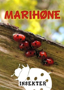 Marihøne (ebok) av Lindsey Wilson