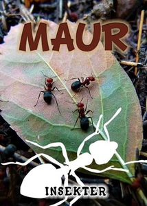 Maur (ebok) av Lindsey Wilson
