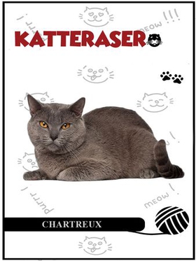 Chartreux