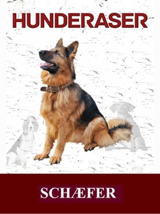 Schæfer (ebok) av Susan Miller