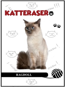 Ragdoll (ebok) av Tania Cheslaw