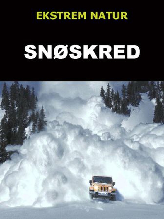 Snøskred