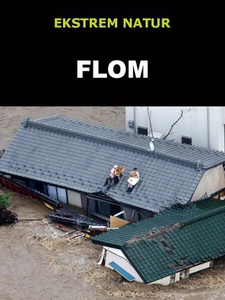 Flom (ebok) av Edward Alan Kurtz