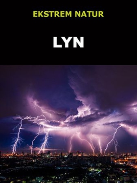 Lyn (ebok) av Edward Alan Kurtz