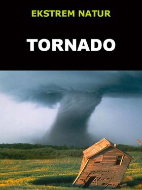 Tornado (ebok) av Edward Alan Kurtz