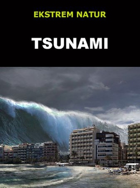 Tsunami (ebok) av Edward Alan Kurtz