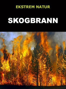 Skogbrann (ebok) av Edward Alan Kurtz