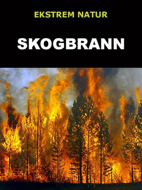 Skogbrann