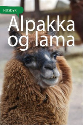 Alpakka og lama