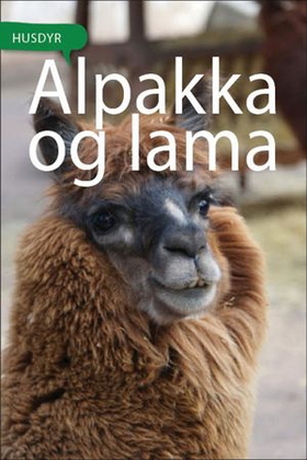 Alpakka og lama (ebok) av Susan Jones