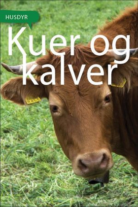 Kuer og kalver