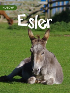 Esler (ebok) av Bjørn Ruud, Ruud Bjørn