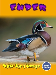 Ender (ebok) av Ukjent, Tania Cheslaw