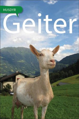 Geiter