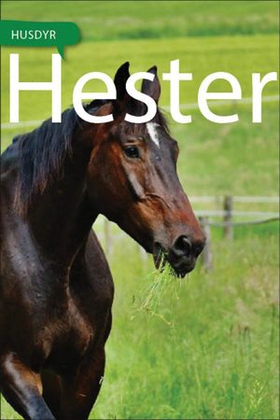 Hester (ebok) av Bjørn Ruud