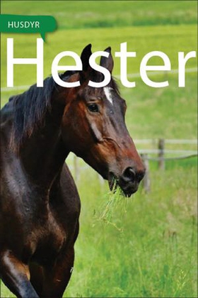 Hester