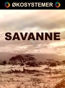 Savanne (ebok) av Edward Alan Kurtz