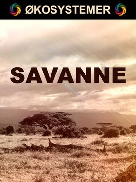 Savanne