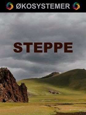 Steppe (ebok) av Edward Alan Kurtz