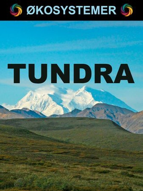 Tundra (ebok) av Edward Alan Kurtz