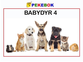 Babydyr 4