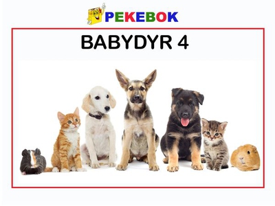 Babydyr 4 (ebok) av Ukjent