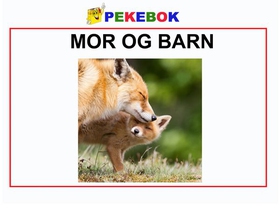 Mor og barn (ebok) av Ukjent