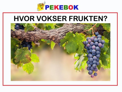Hvor vokser frukten (ebok) av Ukjent