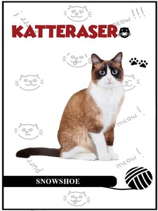 Snowshoe (ebok) av Tania Cheslaw