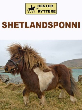 Shetlandsponni (ebok) av Susan Morris