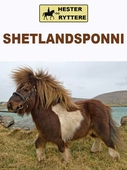 Shetlandsponni