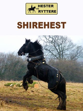 Shirehest