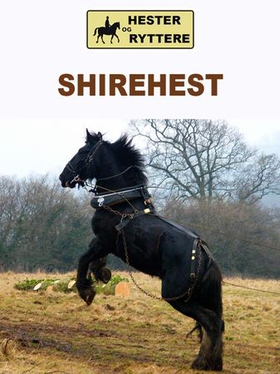 Shirehest (ebok) av Susan Morris
