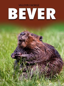 Bever (ebok) av Marte Østmoe