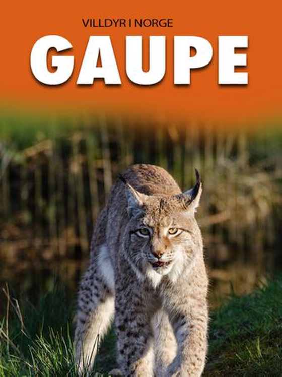 Gaupe (ebok) av Marte Østmoe