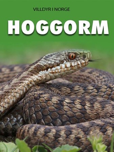 Hoggorm (ebok) av Marte Østmoe, Tania Cheslaw