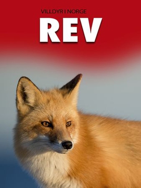 Rev